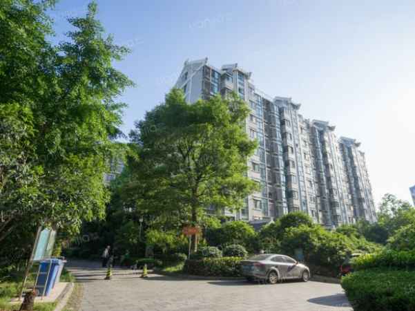深圳市千万级别的豪宅项目一出现就被抢购一空，深圳的楼市是否已经回暖？